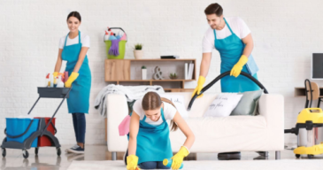 Domestic Cleaning