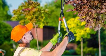 Gardening Services