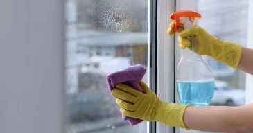 Indoor Window Cleaning